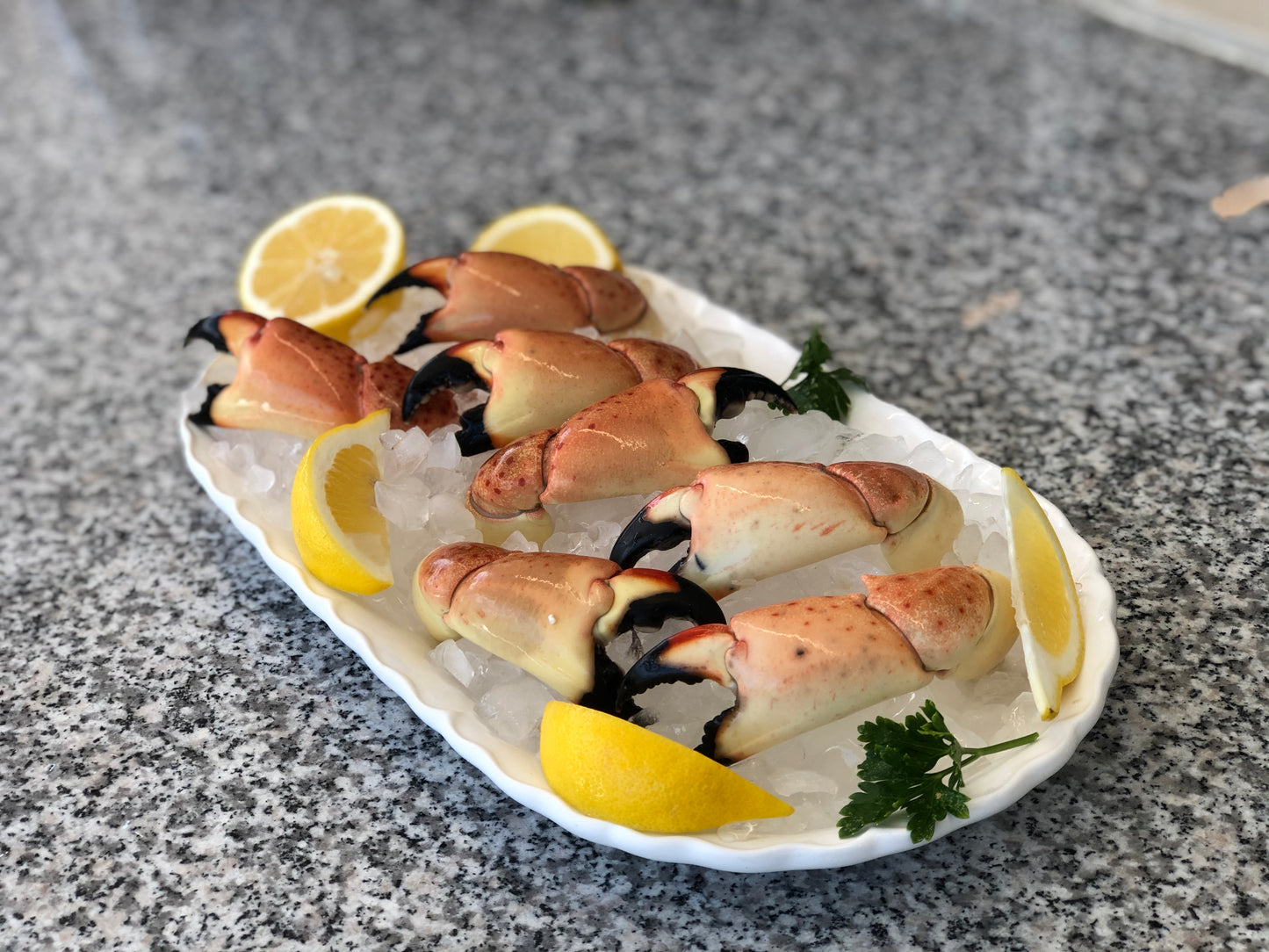 Medium Stone Crab Claws (5 Lbs)